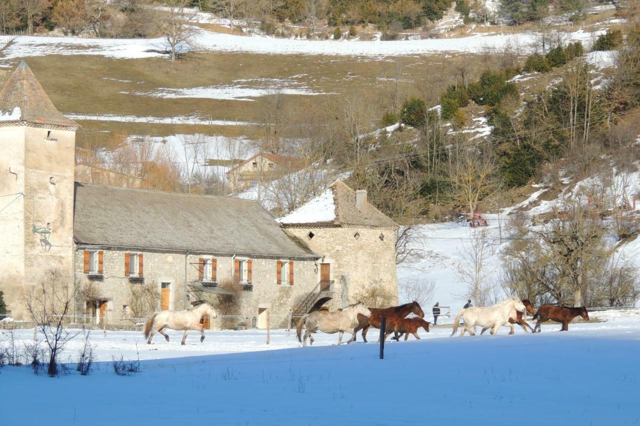 Bed and Breakfast Le Colombier à Glandage Extérieur photo